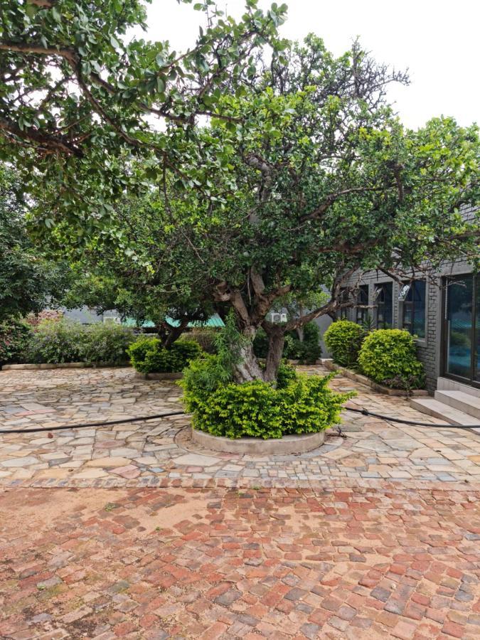 Bela Rest Resort Dış mekan fotoğraf